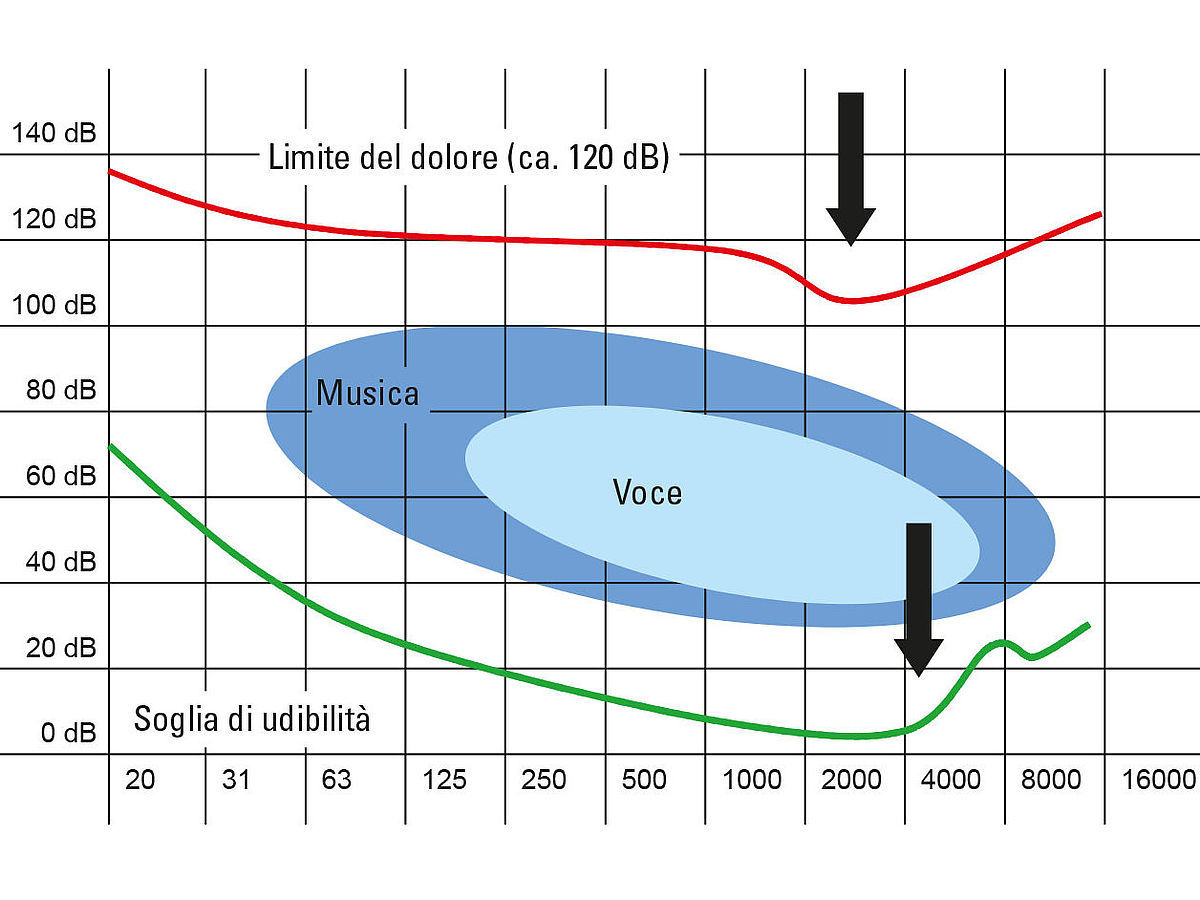 Protezione dal rumore - Ampack